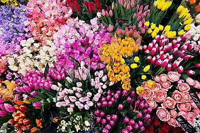 《破晓传说》发售三周年 销量破300万套